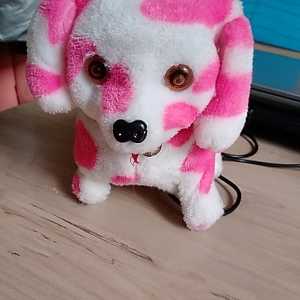 زهرا محتشمی