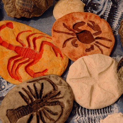 برگی از تاریخ زمین