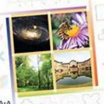 تدریس نسبت ها(ریاضی پایه ی پنجم)