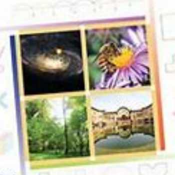 تکمیل تدریس محیط دایره(ریاضی پنجم)