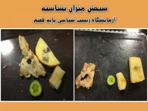 نویسنده: محبوبه خوانساری