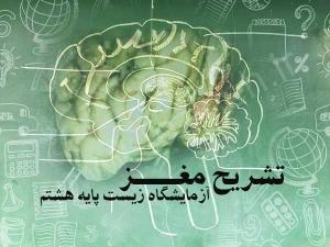 نویسنده: محبوبه خوانساری