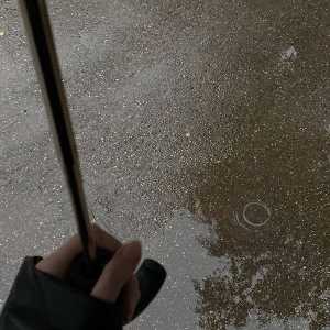 ساجده جعغری