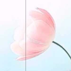 💕💗سه نفر دوست خوب💗 💕