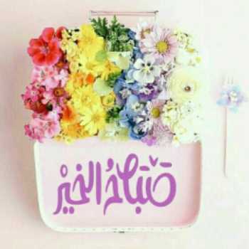 پاسخ آزمون، الدرس الرابع