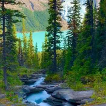 فعالیت چهارشنبه 19 دی ماه . سنبل 3